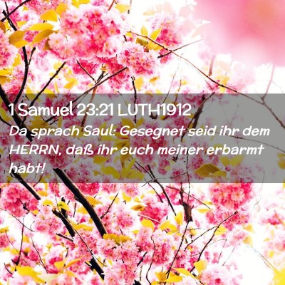 Picture 02 - 1 Samuel 23:21 LUTH1912 - Da sprach Saul: Gesegnet seid ihr dem HERRN, daß - Bible Verse Picture