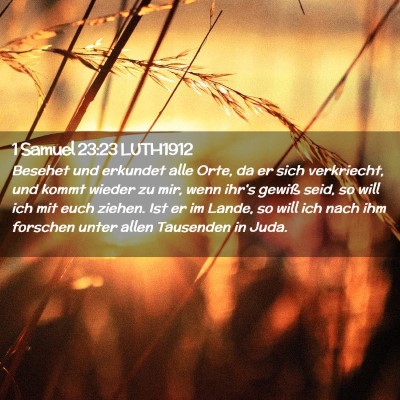 Picture 02 - 1 Samuel 23:23 LUTH1912 - Besehet und erkundet alle Orte, da er sich - Bible Verse Picture