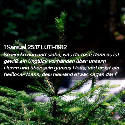 Picture 02 - 1 Samuel 25:17 LUTH1912 - So merke nun und siehe, was du tust; denn es ist - Bible Verse Picture