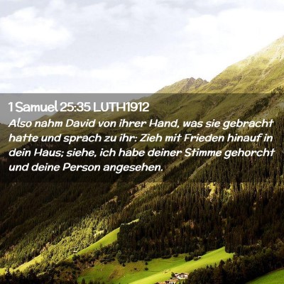 Picture 02 - 1 Samuel 25:35 LUTH1912 - Also nahm David von ihrer Hand, was sie gebracht - Bible Verse Picture