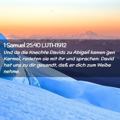 Picture 02 - 1 Samuel 25:40 LUTH1912 - Und da die Knechte Davids zu Abigail kamen gen - Bible Verse Picture