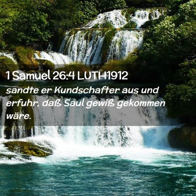 Picture 02 - 1 Samuel 26:4 LUTH1912 - sandte er Kundschafter aus und erfuhr, daß Saul - Bible Verse Picture