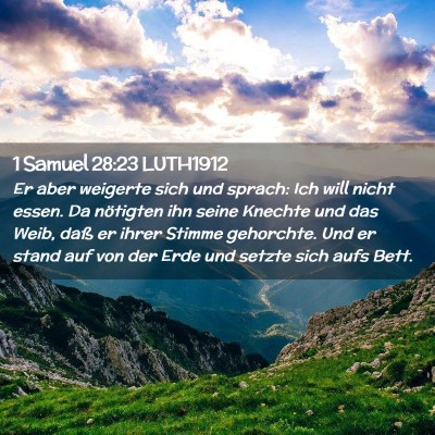 Picture 02 - 1 Samuel 28:23 LUTH1912 - Er aber weigerte sich und sprach: Ich will nicht - Bible Verse Picture