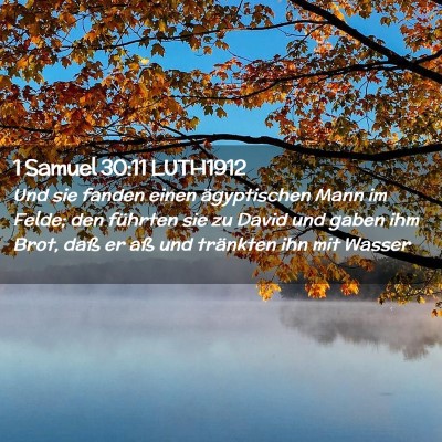 Picture 02 - 1 Samuel 30:11 LUTH1912 - Und sie fanden einen ägyptischen Mann im Felde; - Bible Verse Picture