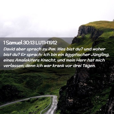 Picture 02 - 1 Samuel 30:13 LUTH1912 - David aber sprach zu ihm: Wes bist du? und woher - Bible Verse Picture