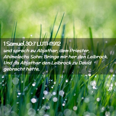 Picture 02 - 1 Samuel 30:7 LUTH1912 - und sprach zu Abjathar, dem Priester, Ahimelechs - Bible Verse Picture