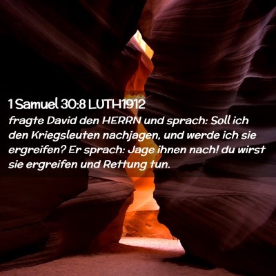 Picture 02 - 1 Samuel 30:8 LUTH1912 - fragte David den HERRN und sprach: Soll ich den - Bible Verse Picture