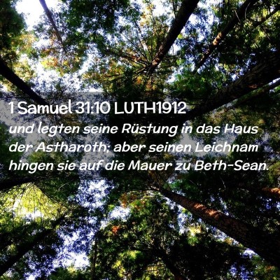 Picture 02 - 1 Samuel 31:10 LUTH1912 - und legten seine Rüstung in das Haus der - Bible Verse Picture