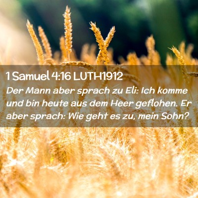 Picture 02 - 1 Samuel 4:16 LUTH1912 - Der Mann aber sprach zu Eli: Ich komme und bin - Bible Verse Picture