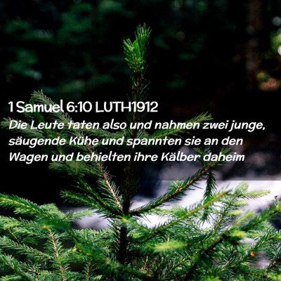 Picture 02 - 1 Samuel 6:10 LUTH1912 - Die Leute taten also und nahmen zwei junge, - Bible Verse Picture