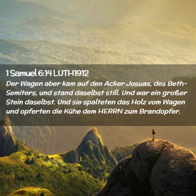 Picture 02 - 1 Samuel 6:14 LUTH1912 - Der Wagen aber kam auf den Acker Josuas, des - Bible Verse Picture