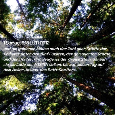 Picture 02 - 1 Samuel 6:18 LUTH1912 - und die goldenen Mäuse nach der Zahl aller - Bible Verse Picture
