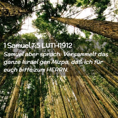 Picture 02 - 1 Samuel 7:5 LUTH1912 - Samuel aber sprach: Versammelt das ganze Israel - Bible Verse Picture