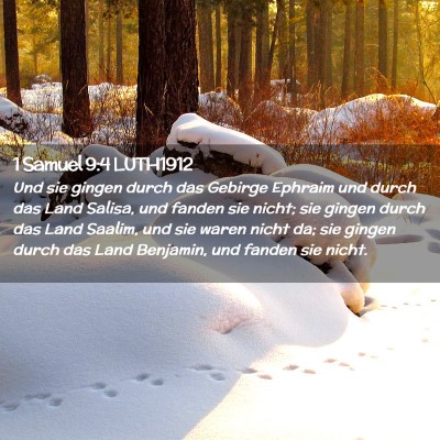 Picture 02 - 1 Samuel 9:4 LUTH1912 - Und sie gingen durch das Gebirge Ephraim und - Bible Verse Picture