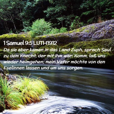 Picture 02 - 1 Samuel 9:5 LUTH1912 - Da sie aber kamen in das Land Zuph, sprach Saul - Bible Verse Picture