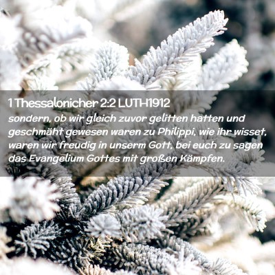 Picture 02 - 1 Thessalonicher 2:2 LUTH1912 - sondern, ob wir gleich zuvor gelitten hatten und - Bible Verse Picture