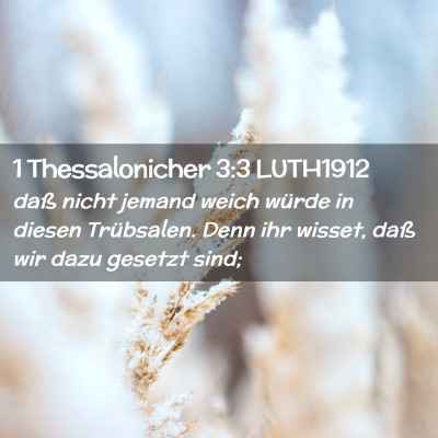 Picture 02 - 1 Thessalonicher 3:3 LUTH1912 - daß nicht jemand weich würde in diesen - Bible Verse Picture