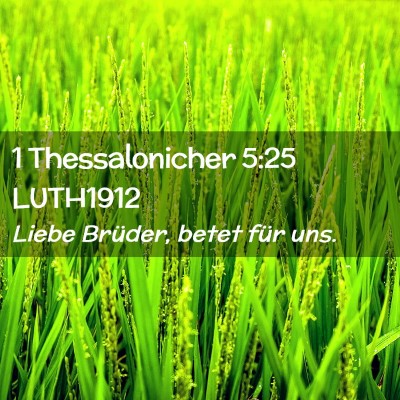Picture 02 - 1 Thessalonicher 5:25 LUTH1912 - Liebe Brüder, betet für - Bible Verse Picture