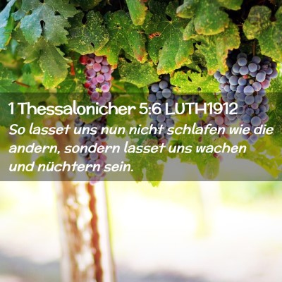 Picture 02 - 1 Thessalonicher 5:6 LUTH1912 - So lasset uns nun nicht schlafen wie die andern, - Bible Verse Picture