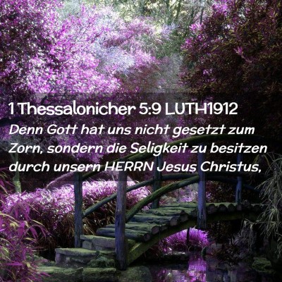 Picture 02 - 1 Thessalonicher 5:9 LUTH1912 - Denn Gott hat uns nicht gesetzt zum Zorn, sondern - Bible Verse Picture