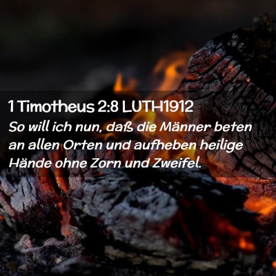 Picture 02 - 1 Timotheus 2:8 LUTH1912 - So will ich nun, daß die Männer beten an allen - Bible Verse Picture