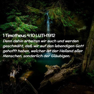 Picture 02 - 1 Timotheus 4:10 LUTH1912 - Denn dahin arbeiten wir auch und werden - Bible Verse Picture