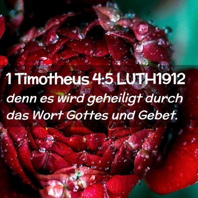 Picture 02 - 1 Timotheus 4:5 LUTH1912 - denn es wird geheiligt durch das Wort Gottes und - Bible Verse Picture