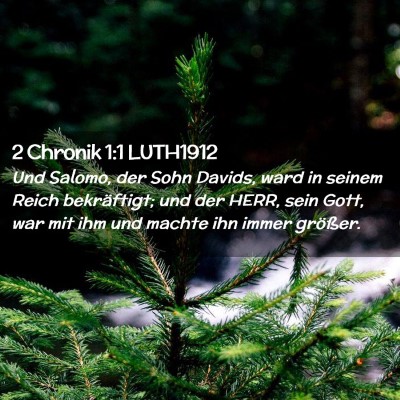 Picture 02 - 2 Chronik 1:1 LUTH1912 - Und Salomo, der Sohn Davids, ward in seinem Reich - Bible Verse Picture