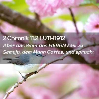 Picture 02 - 2 Chronik 11:2 LUTH1912 - Aber das Wort des HERRN kam zu Semaja, dem Mann - Bible Verse Picture
