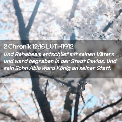 Picture 02 - 2 Chronik 12:16 LUTH1912 - Und Rehabeam entschlief mit seinen Vätern und - Bible Verse Picture