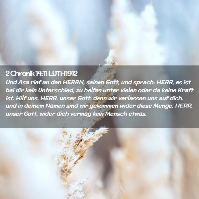 Picture 02 - 2 Chronik 14:11 LUTH1912 - Und Asa rief an den HERRN, seinen Gott, und - Bible Verse Picture