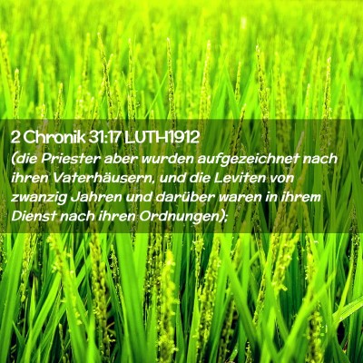 Picture 02 - 2 Chronik 31:17 LUTH1912 - (die Priester aber wurden aufgezeichnet nach - Bible Verse Picture
