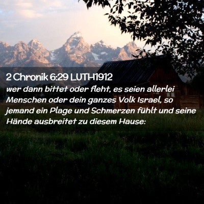 Picture 02 - 2 Chronik 6:29 LUTH1912 - wer dann bittet oder fleht, es seien allerlei - Bible Verse Picture