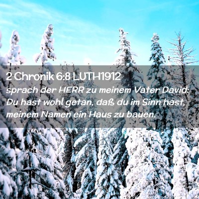 Picture 02 - 2 Chronik 6:8 LUTH1912 - sprach der HERR zu meinem Vater David: Du hast - Bible Verse Picture