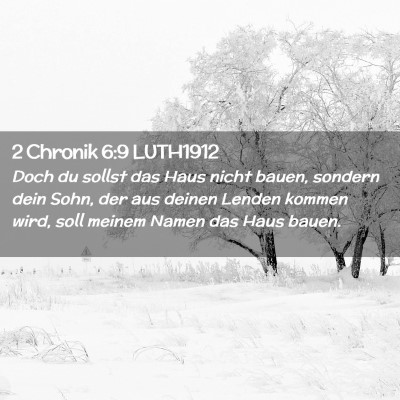 Picture 02 - 2 Chronik 6:9 LUTH1912 - Doch du sollst das Haus nicht bauen, sondern dein - Bible Verse Picture