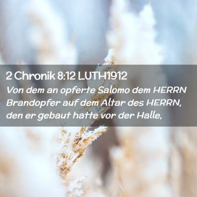 Picture 02 - 2 Chronik 8:12 LUTH1912 - Von dem an opferte Salomo dem HERRN Brandopfer - Bible Verse Picture