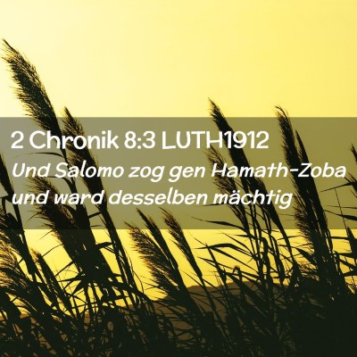 Picture 02 - 2 Chronik 8:3 LUTH1912 - Und Salomo zog gen Hamath-Zoba und ward desselben - Bible Verse Picture