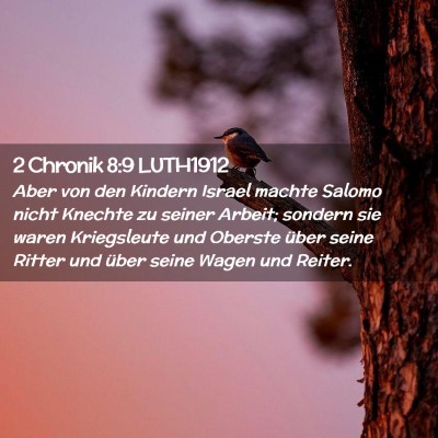 Picture 02 - 2 Chronik 8:9 LUTH1912 - Aber von den Kindern Israel machte Salomo nicht - Bible Verse Picture