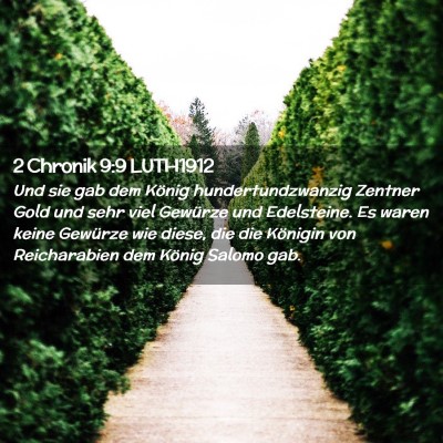 Picture 02 - 2 Chronik 9:9 LUTH1912 - Und sie gab dem König hundertundzwanzig Zentner - Bible Verse Picture