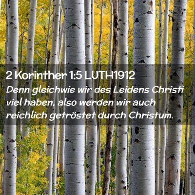 Picture 02 - 2 Korinther 1:5 LUTH1912 - Denn gleichwie wir des Leidens Christi viel - Bible Verse Picture