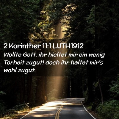 Picture 02 - 2 Korinther 11:1 LUTH1912 - Wollte Gott, ihr hieltet mir ein wenig Torheit - Bible Verse Picture