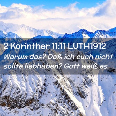 Picture 02 - 2 Korinther 11:11 LUTH1912 - Warum das? Daß ich euch nicht sollte liebhaben? - Bible Verse Picture