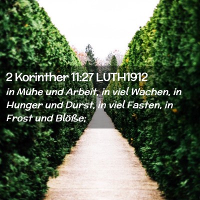 Picture 02 - 2 Korinther 11:27 LUTH1912 - in Mühe und Arbeit, in viel Wachen, in Hunger - Bible Verse Picture