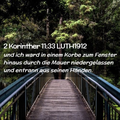Picture 02 - 2 Korinther 11:33 LUTH1912 - und ich ward in einem Korbe zum Fenster hinaus - Bible Verse Picture