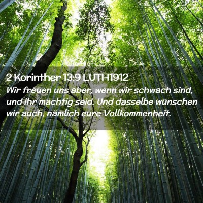 Picture 02 - 2 Korinther 13:9 LUTH1912 - Wir freuen uns aber, wenn wir schwach sind, und - Bible Verse Picture