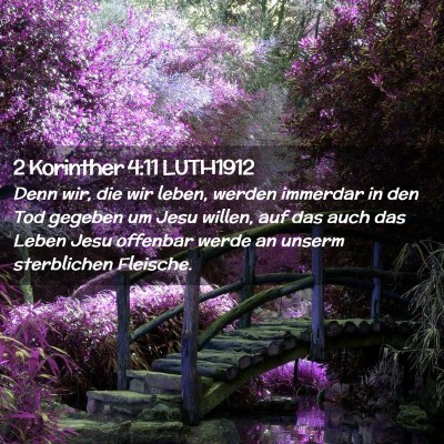 Picture 02 - 2 Korinther 4:11 LUTH1912 - Denn wir, die wir leben, werden immerdar in den - Bible Verse Picture