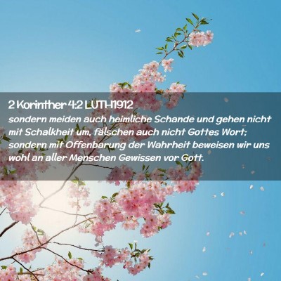 Picture 02 - 2 Korinther 4:2 LUTH1912 - sondern meiden auch heimliche Schande und gehen - Bible Verse Picture