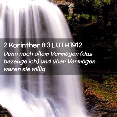 Picture 02 - 2 Korinther 8:3 LUTH1912 - Denn nach allem Vermögen (das bezeuge ich) und - Bible Verse Picture