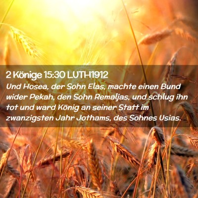 Picture 02 - 2 Könige 15:30 LUTH1912 - Und Hosea, der Sohn Elas, machte einen Bund wider - Bible Verse Picture