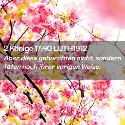 Picture 02 - 2 Könige 17:40 LUTH1912 - Aber diese gehorchten nicht, sondern taten nach - Bible Verse Picture